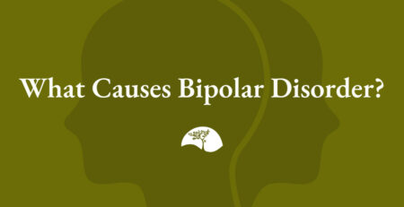 what causes bipolar disorder