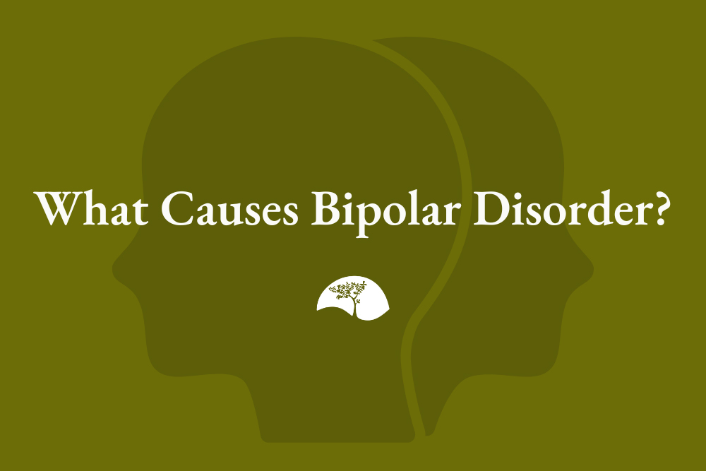 what causes bipolar disorder